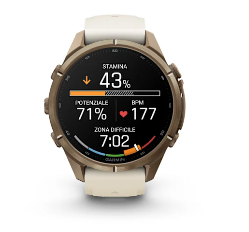 Garmin Fēnix™ 9 Pro - 43 mm