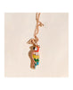 Rosato Charm Pappagallo