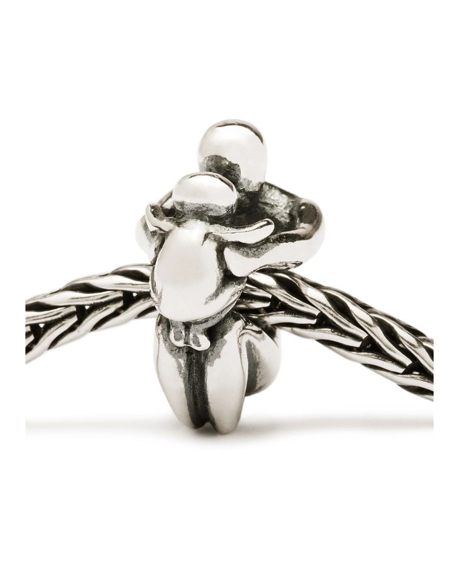 Trollbeads Paternità