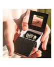 Trollbeads  Laurea