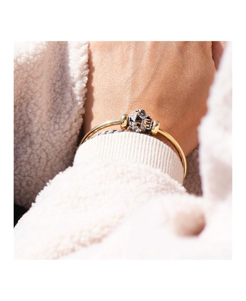 Trollbeads Ali di Gioia