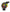 Swatch Orologio NEON SEPPIA