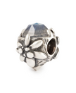 Trollbeads Edelweiss