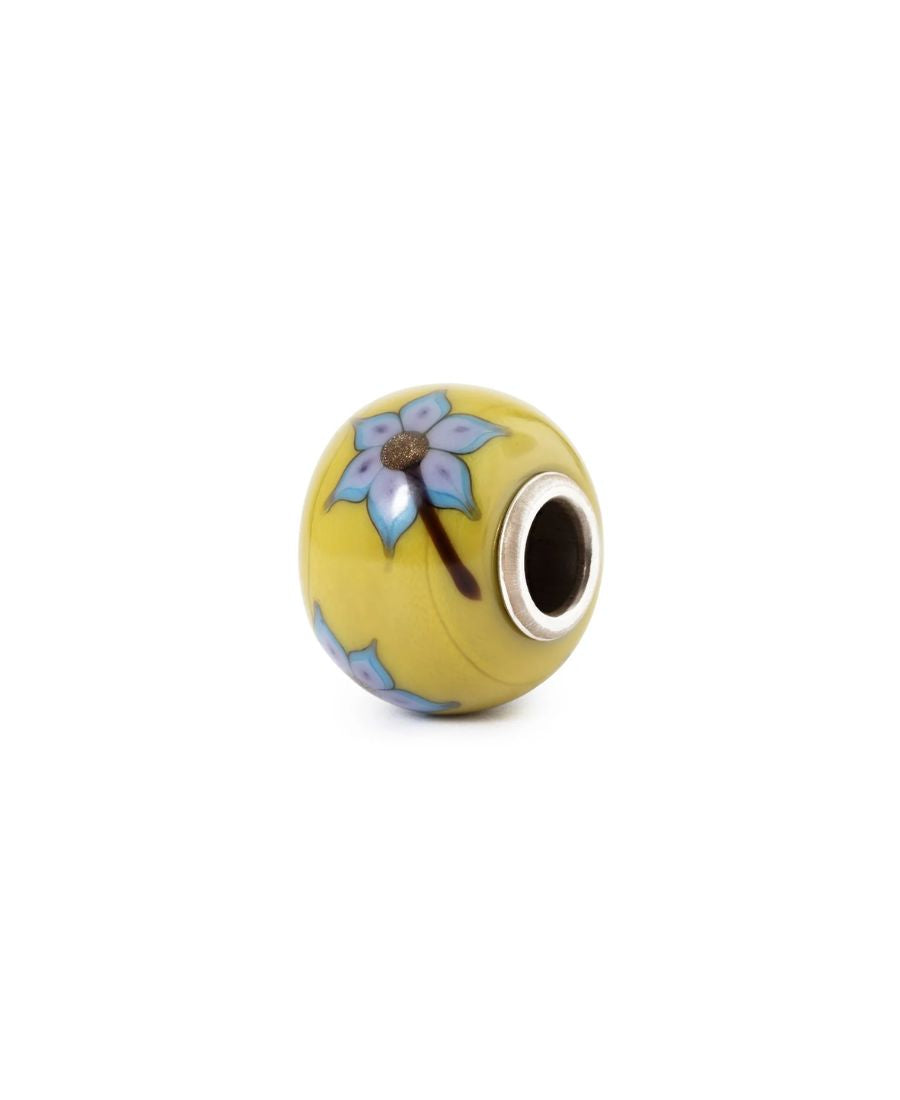 Trollbeads Cambiamento