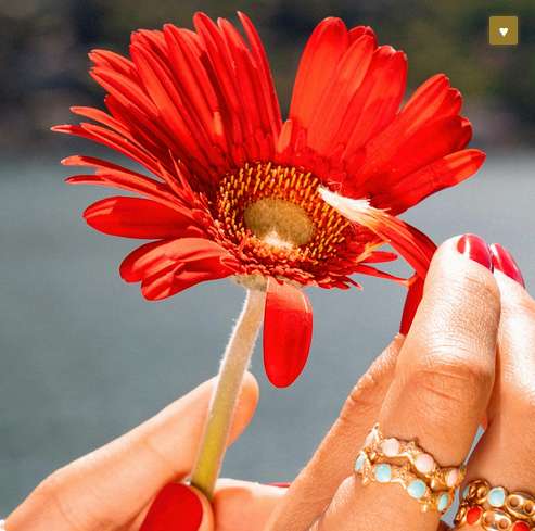 Rue des Mille Anello Marine Love