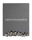Giovanni Raspini Cornice Fiocchi
