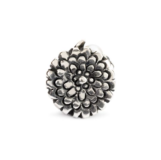 Trollbeads Calendula di Ottobre